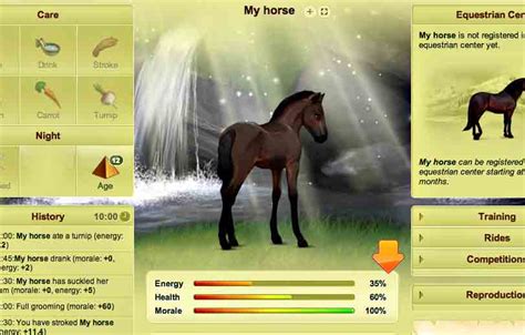 online spiele pferde züchten